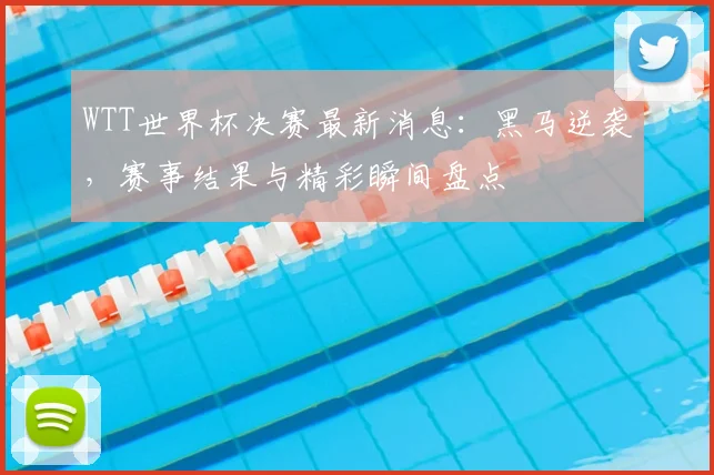 WTT世界杯决赛最新消息：黑马逆袭，赛事结果与精彩瞬间盘点