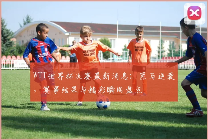 WTT世界杯决赛最新消息:黑马逆袭,赛事结果与精彩瞬间盘点