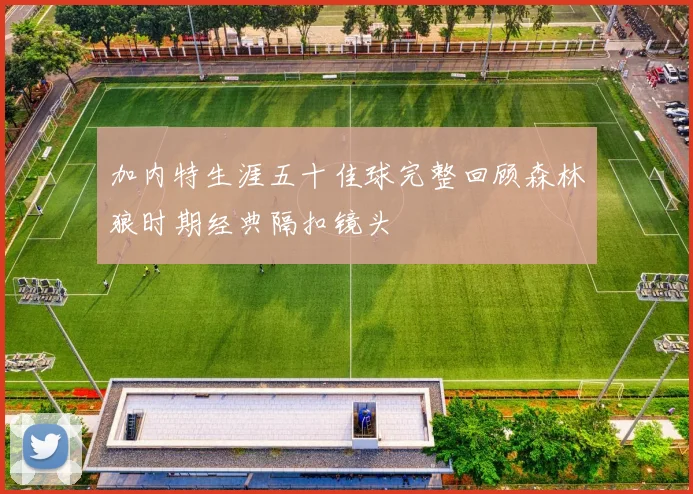 加内特生涯五十佳球完整回顾森林狼时期经典隔扣镜头