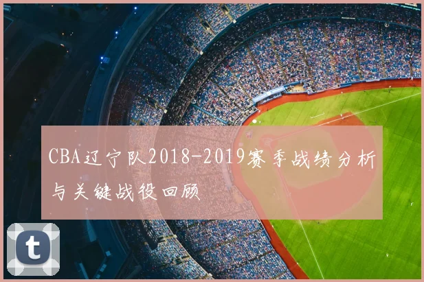 CBA辽宁队2018-2019赛季战绩分析与关键战役回顾