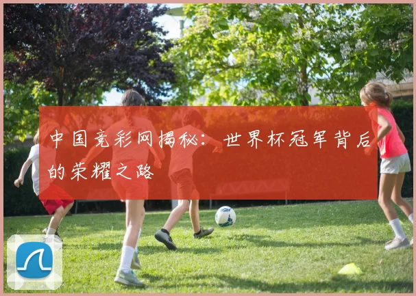 中国竞彩网揭秘：世界杯冠军背后的荣耀之路
