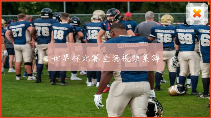 世界杯比赛全场视频集锦