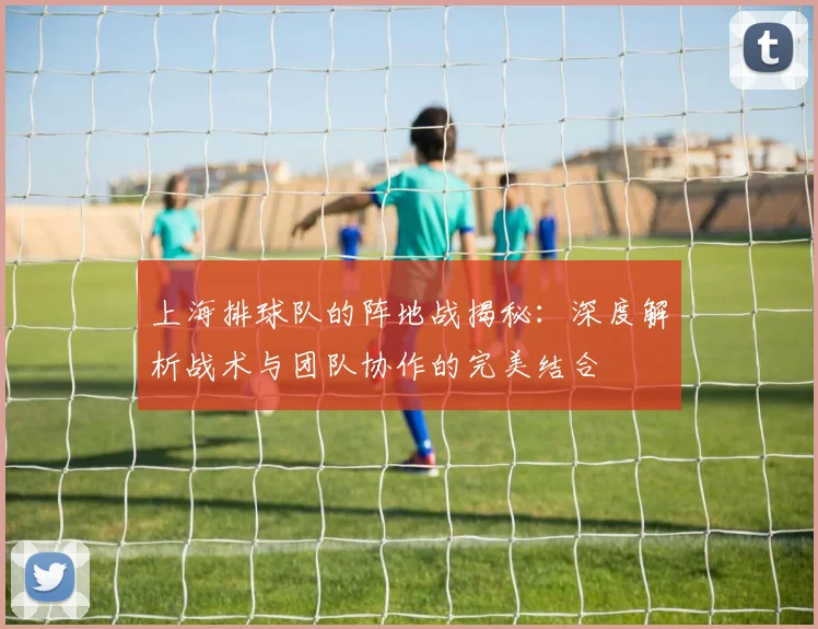 上海排球队的阵地战揭秘:深度解析战术与团队协作的完美结合