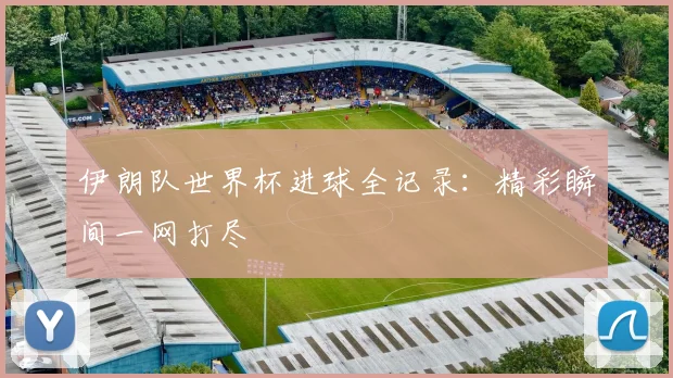 伊朗队世界杯进球全记录:精彩瞬间一网打尽
