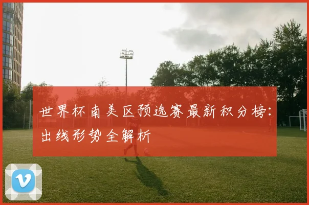 世界杯南美区预选赛最新积分榜:出线形势全解析