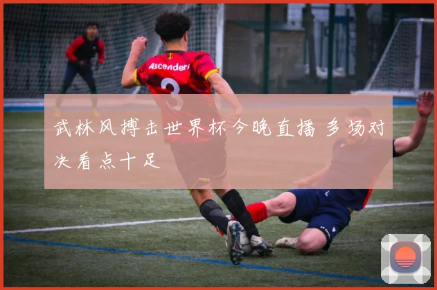 武林风搏击世界杯今晚直播 多场对决看点十足