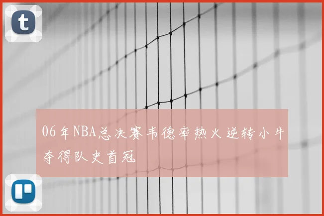 06年NBA总决赛韦德率热火逆转小牛夺得队史首冠