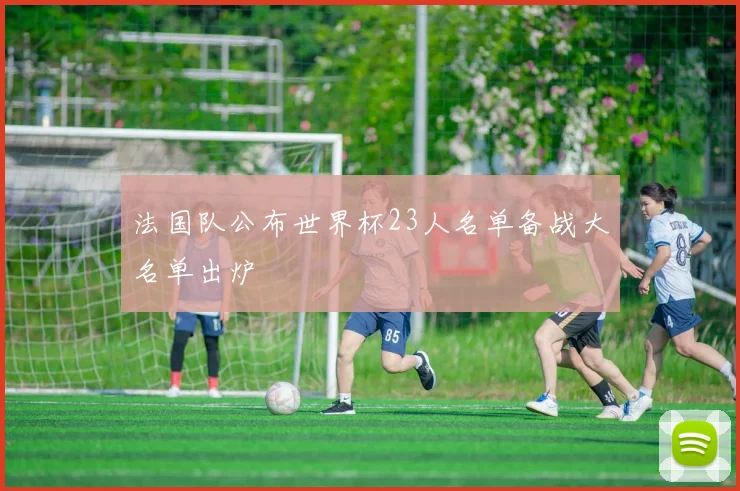 法国队公布世界杯23人名单备战大名单出炉