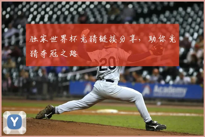 独家世界杯竞猜链接分享,助你竞猜夺冠之路
