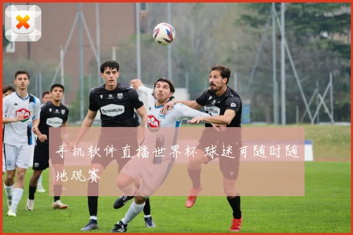 手机软件直播世界杯 球迷可随时随地观赛